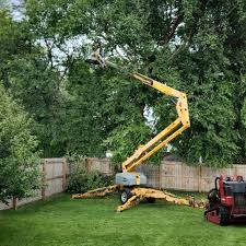 Reliable Chatsworth, IL Tree Services Solutions