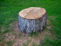 Best Leaf Removal  in Chatsworth, IL