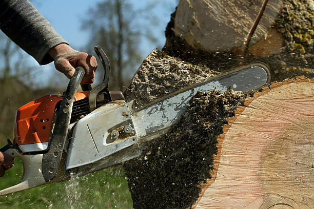 Lawn Maintenance Plans in Chatsworth, IL