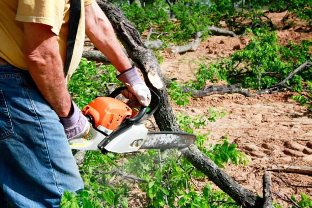 Best Soil Testing and Treatment  in Chatsworth, IL